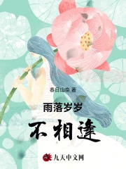 雨落岁岁不相逢